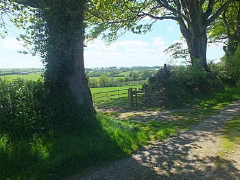 Photo Gallery Image - Views towards Caradon from Halwell