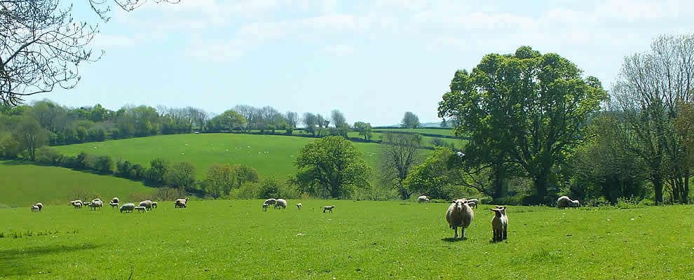 Rural views around Linkinhorne Village