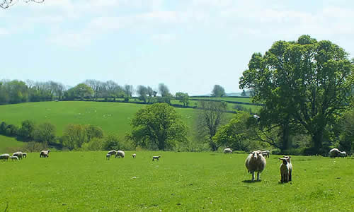 Rural views around Linkinhorne Village